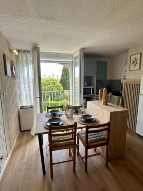 Appartement Cap d'Agde Le Génois T2 de 36m2 avec parking privatif et accès internet